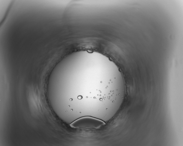 X0000089851393200707051106