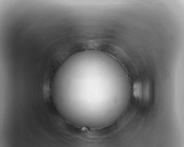 X0000089851395200707051106