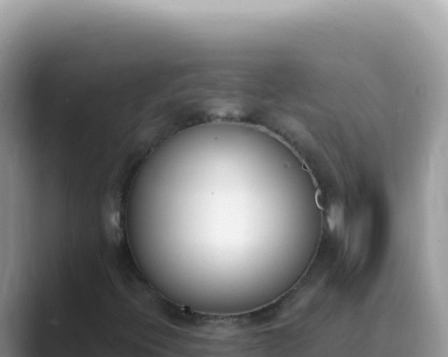 X0000089851396200707051106
