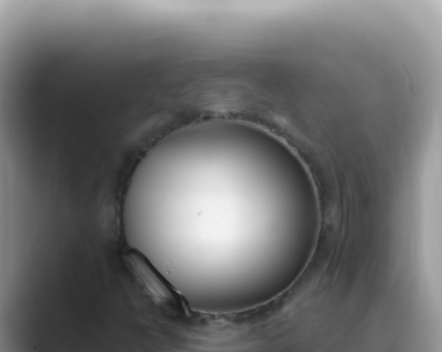 X0000089851398200707051106
