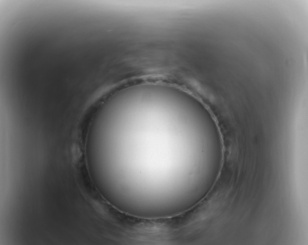 X0000089851400200707051106