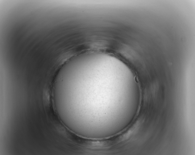 X0000089851401200707051106