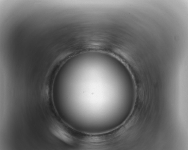 X0000089851402200707051106