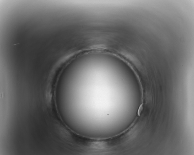 X0000089851406200707051106