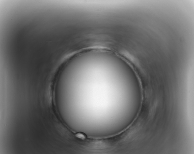 X0000089851408200707051106