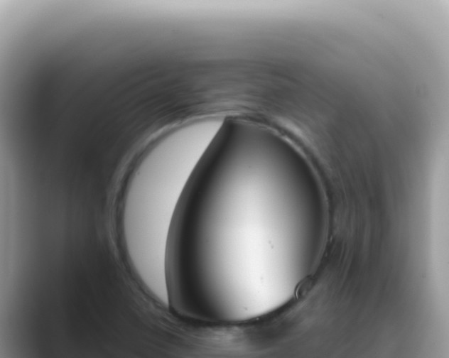 X0000089851410200707051106