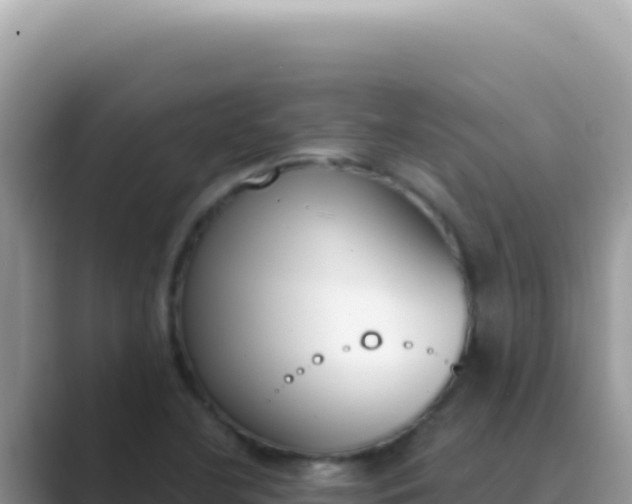 X0000089851412200707051106