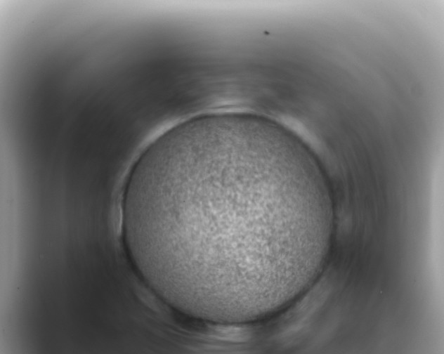 X0000089851413200707051106