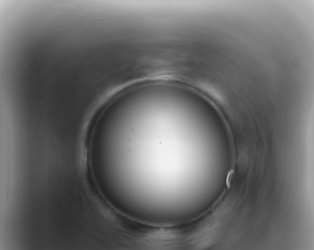 X0000089851414200707051107