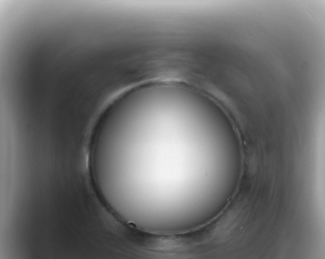 X0000089851416200707051107