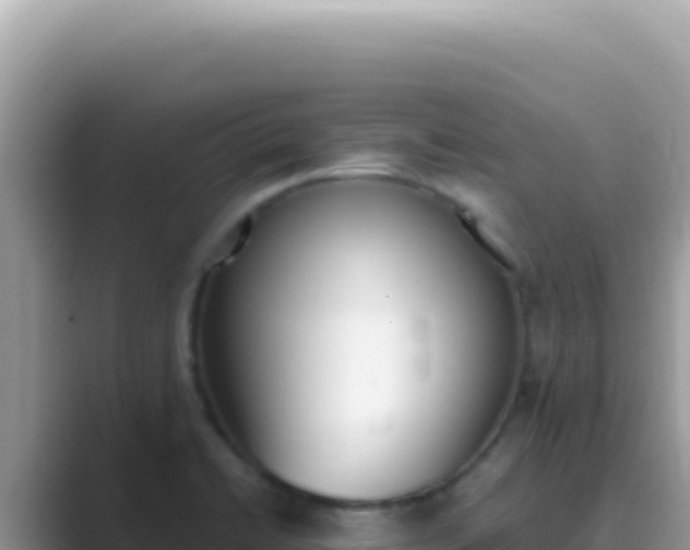 X0000089851422200707051107