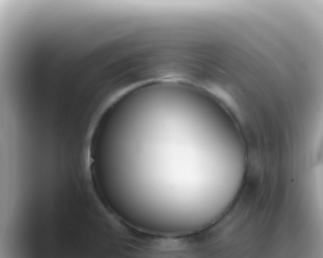 X0000089851424200707051107