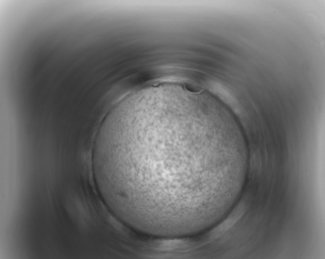 X0000089851425200707051107