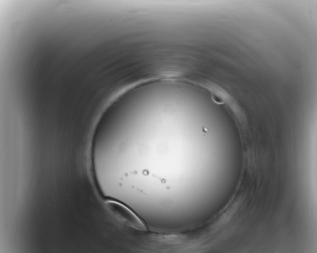 X0000089851432200707051107
