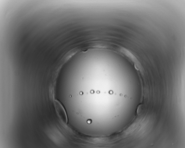 X0000089851433200707051107