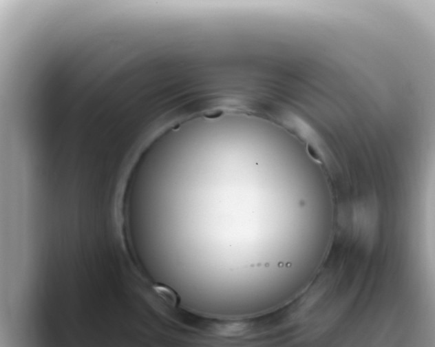 X0000089851435200707051107