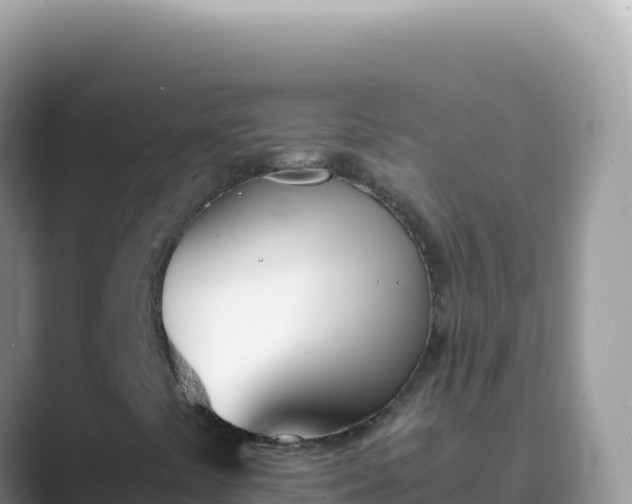 X0000089851441200707051106