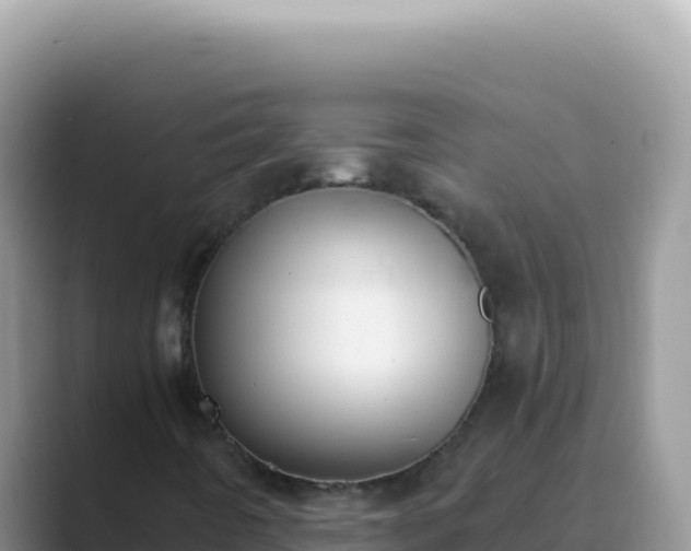 X0000089851442200707051106