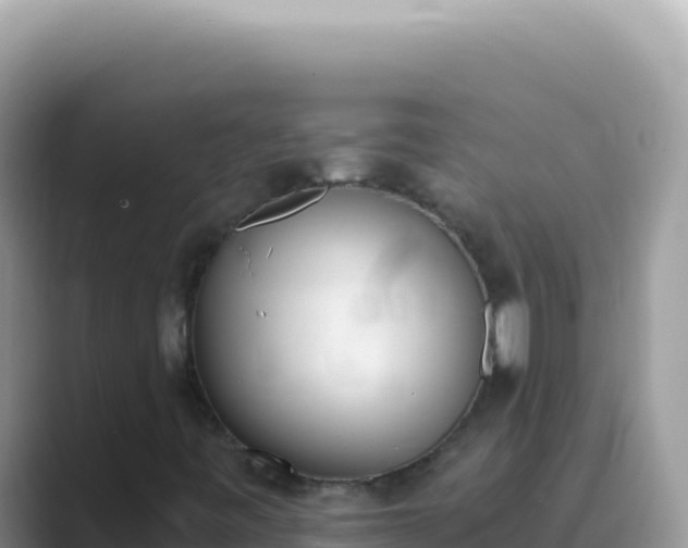 X0000089851443200707051106
