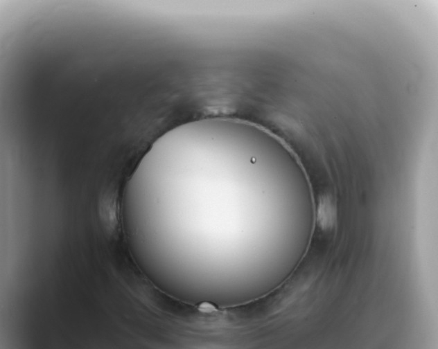 X0000089851444200707051106