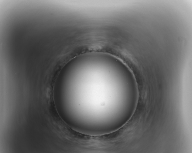 X0000089851445200707051106