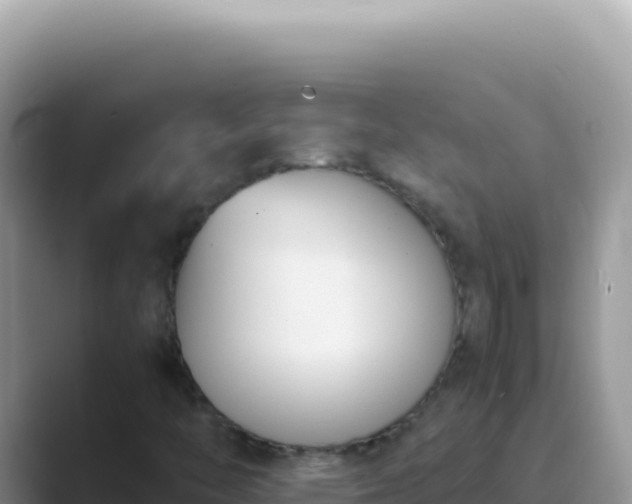 X0000089851446200707051106