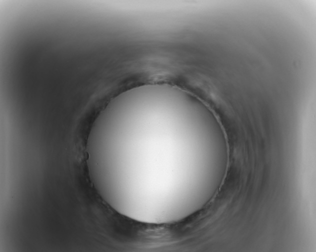 X0000089851447200707051106