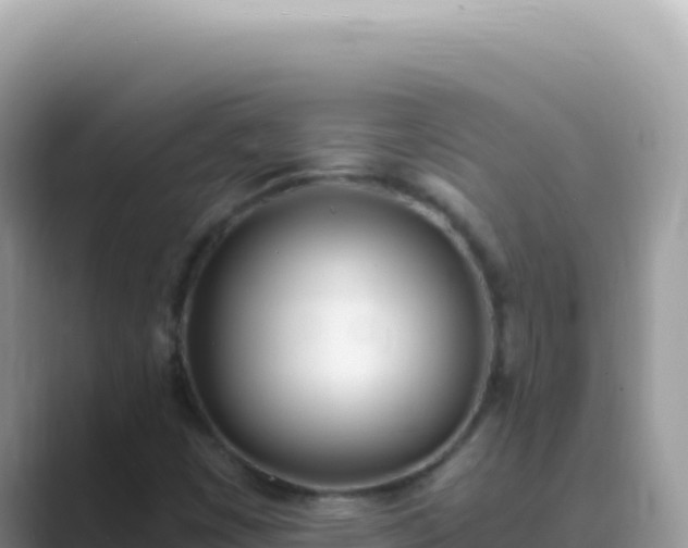 X0000089851449200707051106