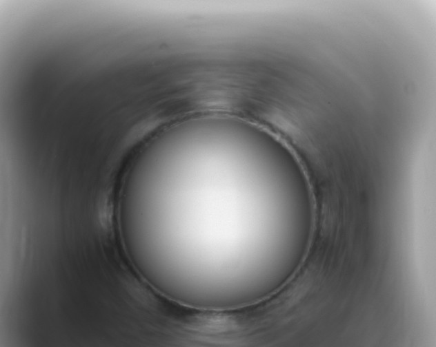 X0000089851450200707051106