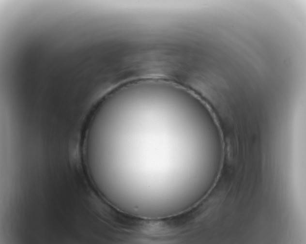 X0000089851452200707051106