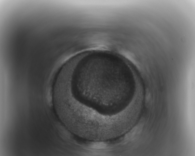 X0000089851455200707051106