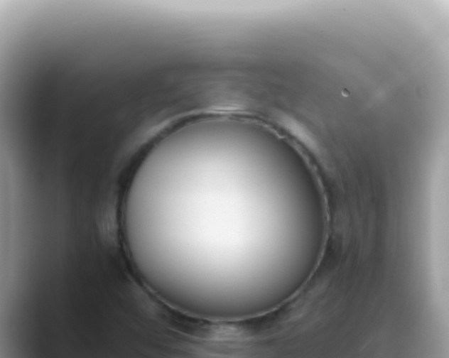 X0000089851456200707051106