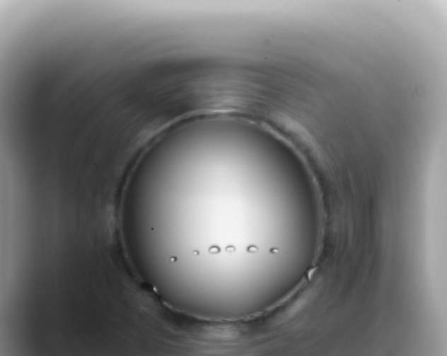X0000089851457200707051106