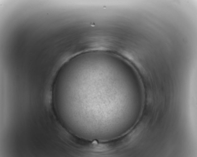 X0000089851459200707051106