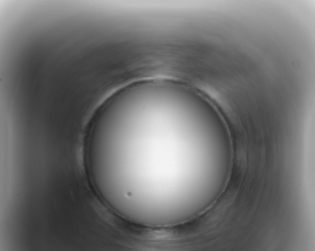 X0000089851460200707051106