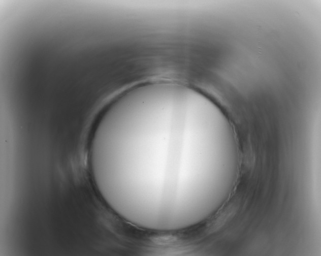 X0000089851462200707051106