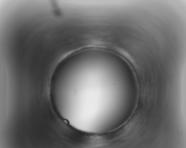 X0000089851463200707051106