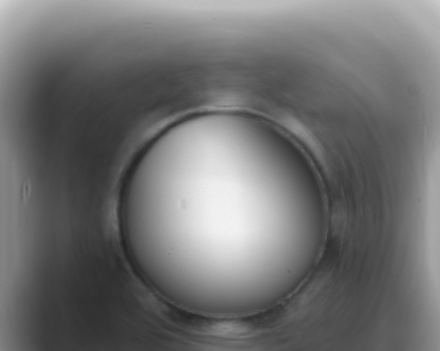 X0000089851464200707051106