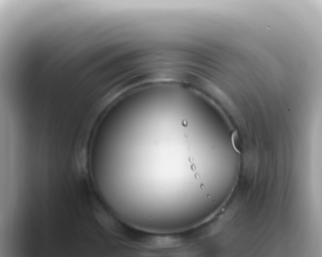 X0000089851465200707051106