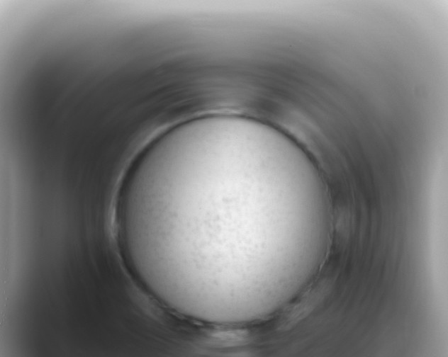 X0000089851466200707051106
