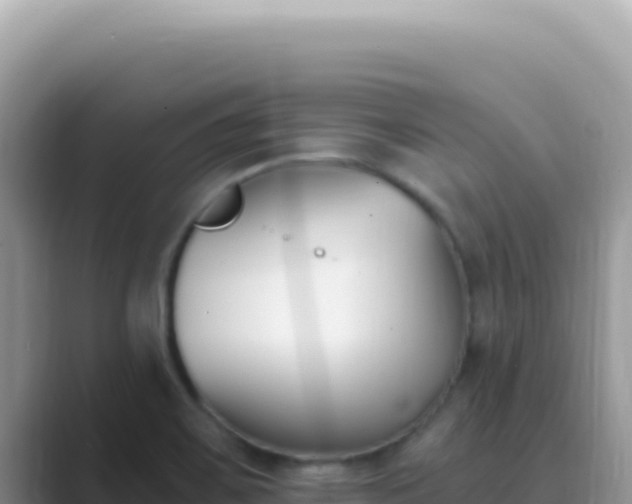 X0000089851467200707051106