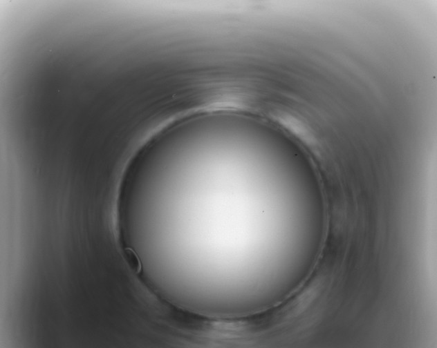 X0000089851469200707051106