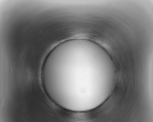 X0000089851470200707051106