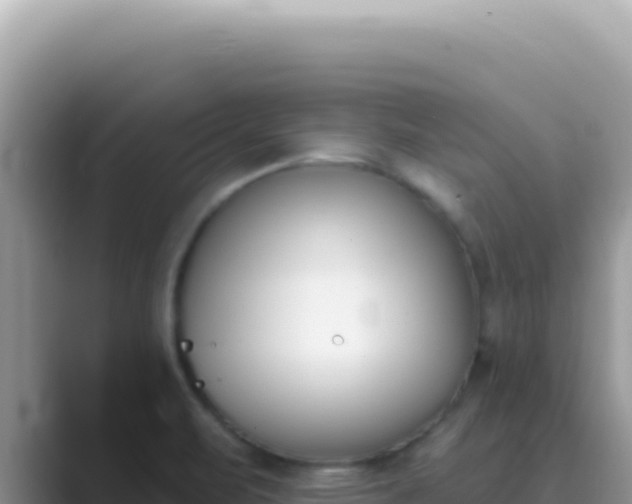 X0000089851471200707051106