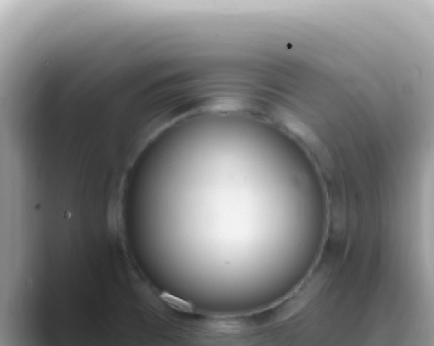 X0000089851473200707051106