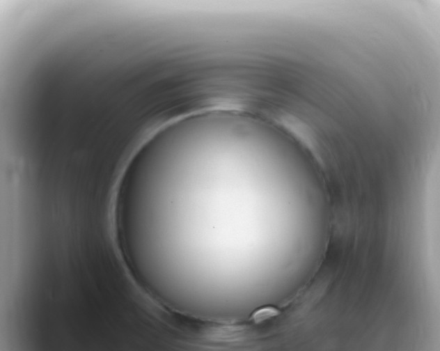 X0000089851475200707051106