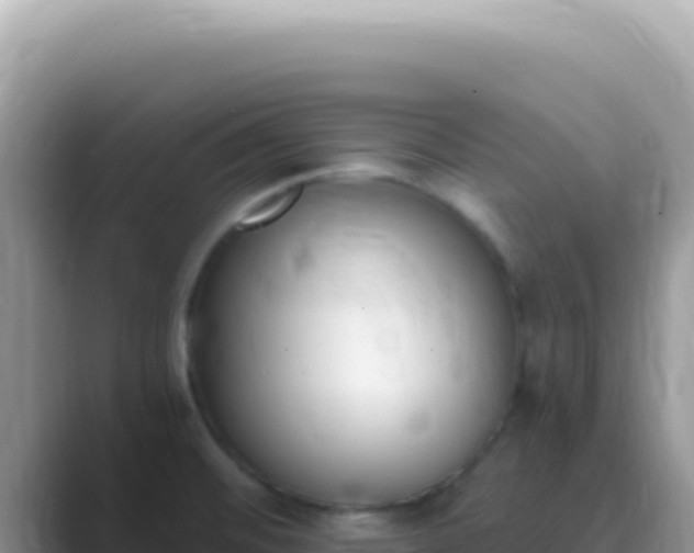 X0000089851476200707051106