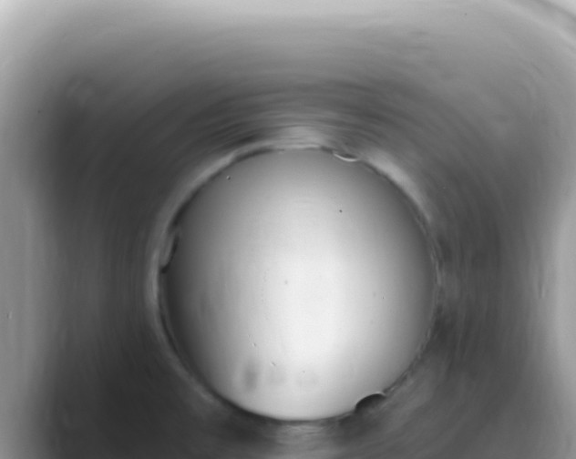 X0000089851477200707051106