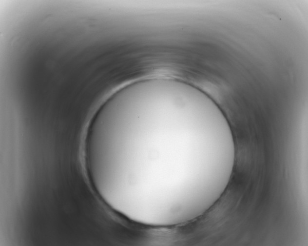 X0000089851478200707051106