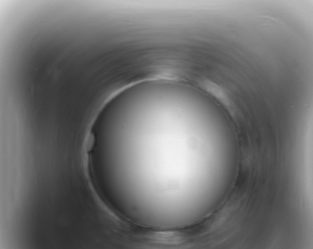 X0000089851479200707051106